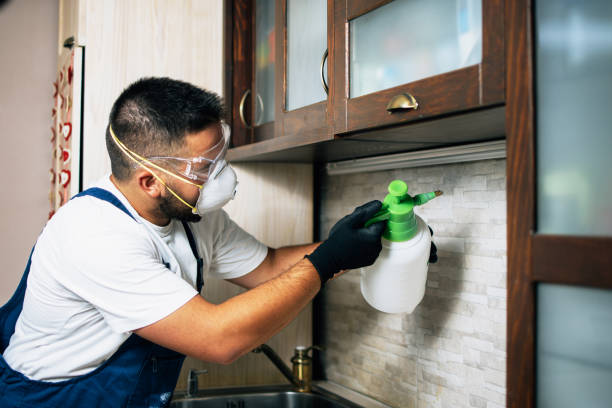 Best Exterminator Services  in Mount Vernon, VA