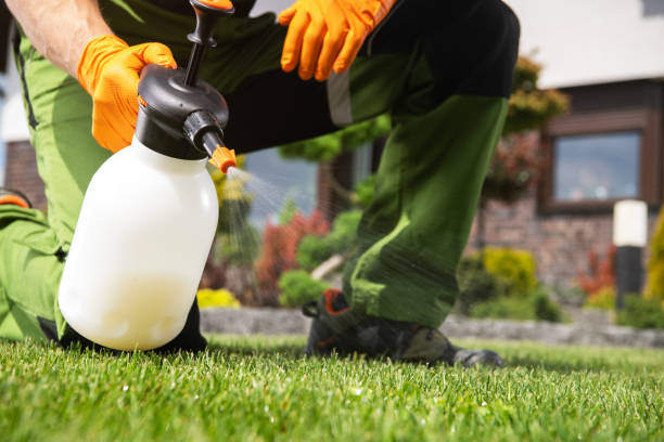 Best Local Pest Control Services  in Mount Vernon, VA