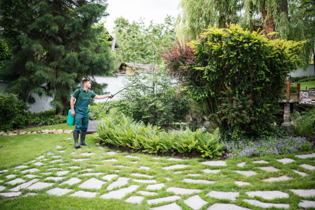 Best Mosquito Control Services  in Mount Vernon, VA