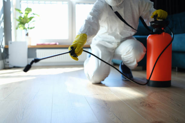 Best Affordable Pest Control Services  in Mount Vernon, VA