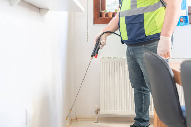Professional Pest Control in Mount Vernon, VA