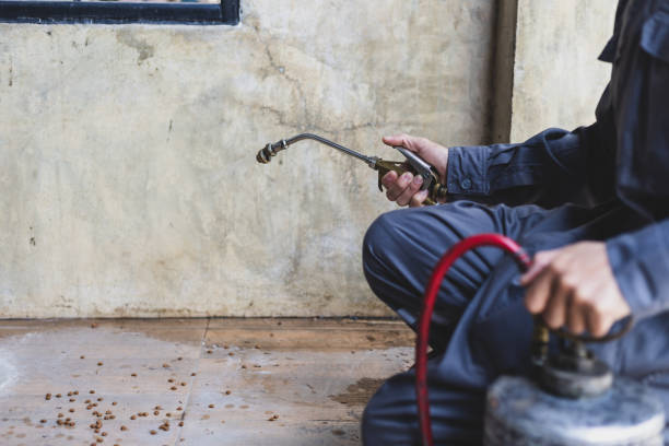 Best Pest Prevention Services  in Mount Vernon, VA